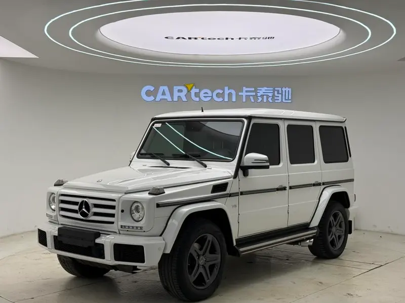 Mercedes-Benz G-Class G 500, 2016 — фото 1