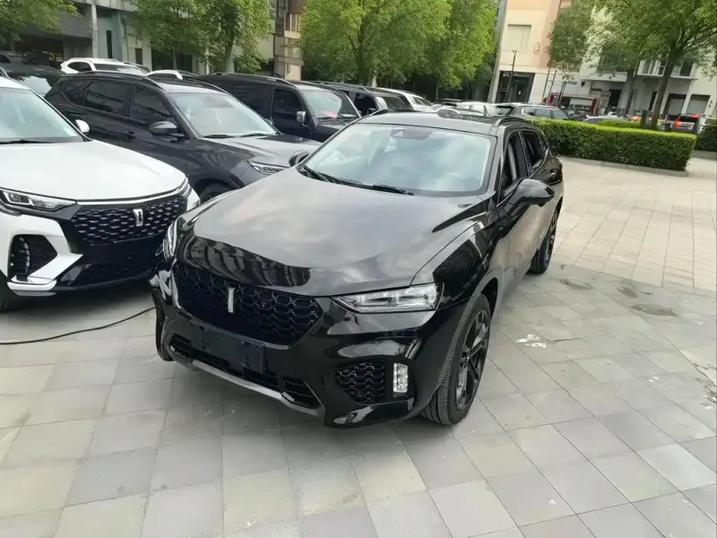 Wey VV7, 2018