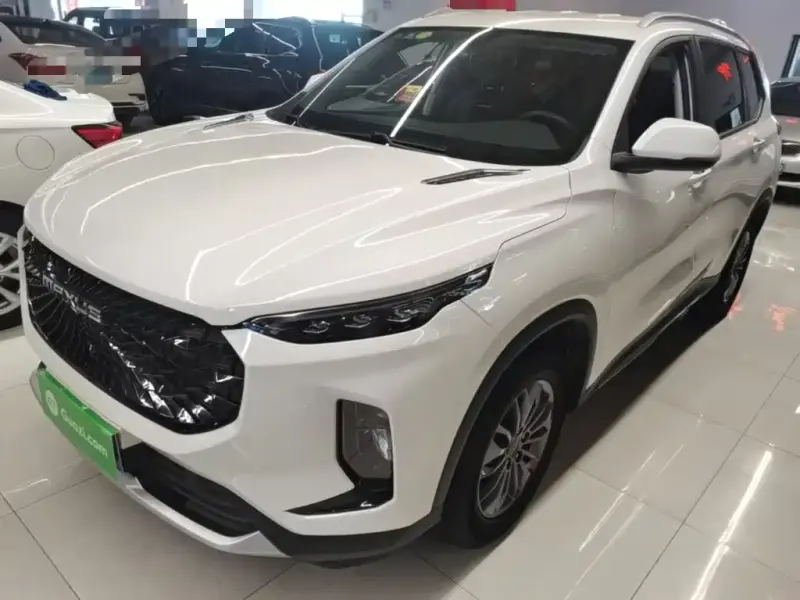 Maxus D60, 2020