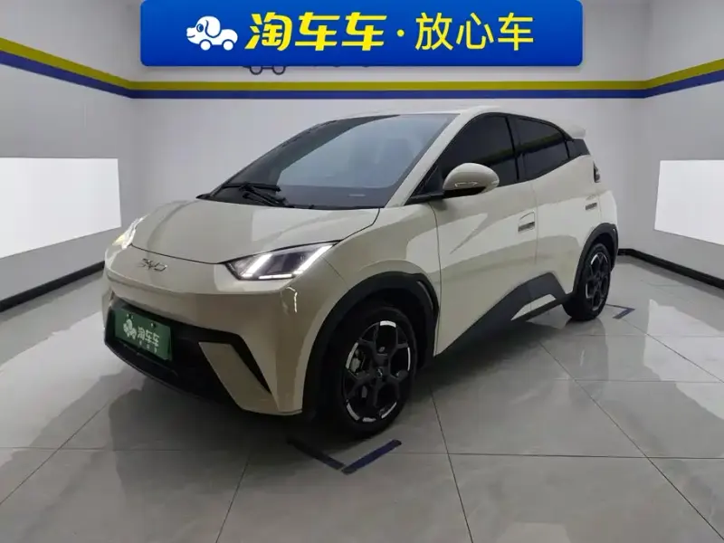 BYD Seagull, 2024
