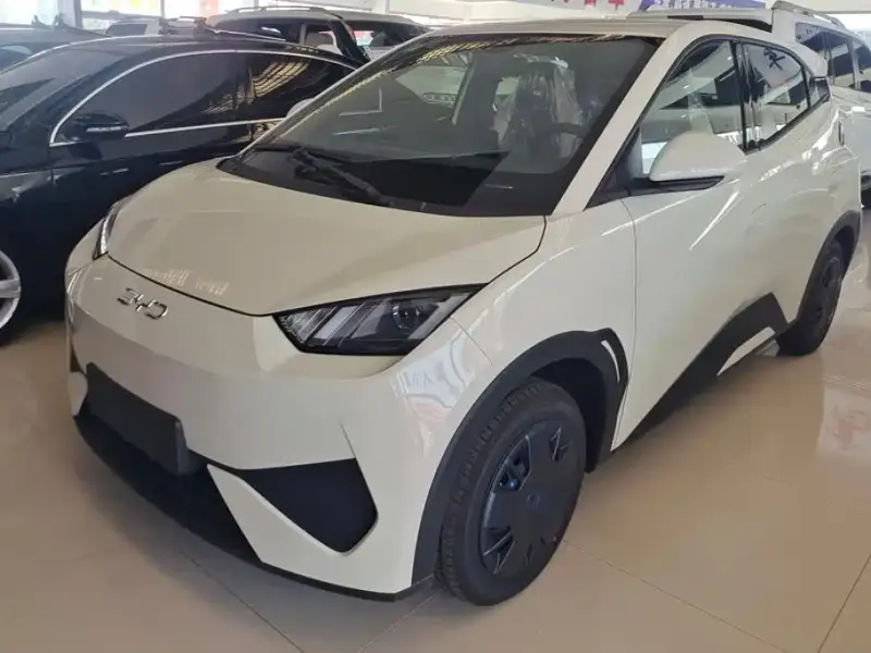 BYD Seagull, 2026
