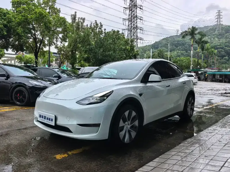 Tesla Model Y, 2021