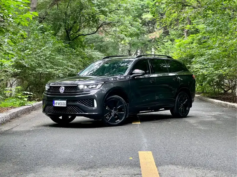 Volkswagen Tavendor, 2024
