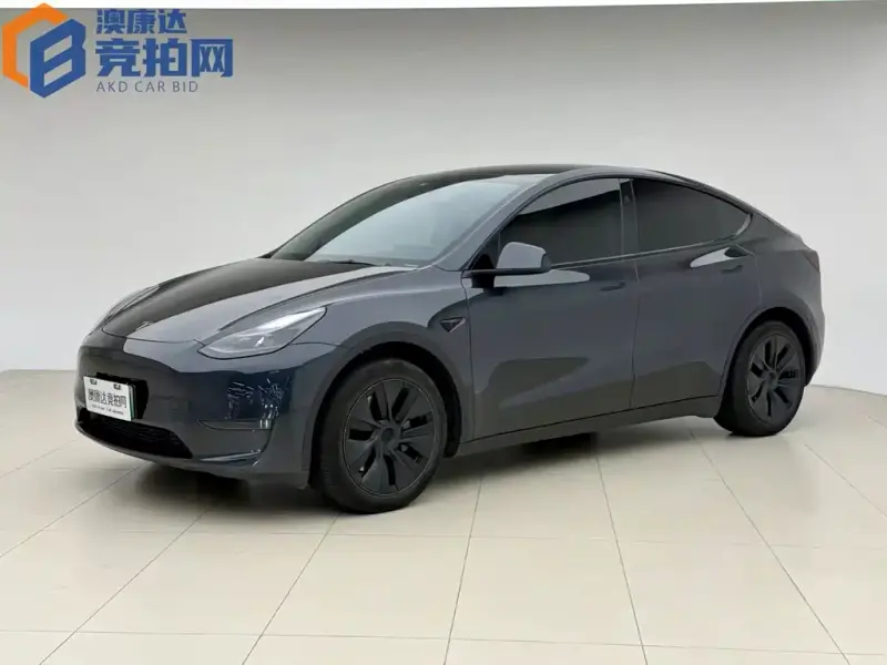 Tesla Model Y, 2024