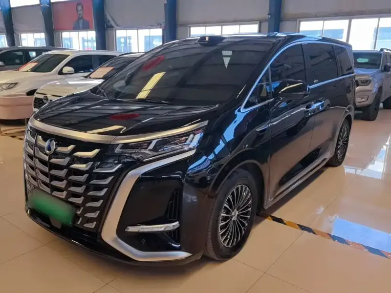 Denza D9, 2025