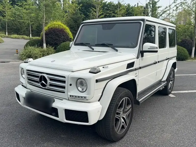 Mercedes-Benz G-Class, 2017 — фото 1