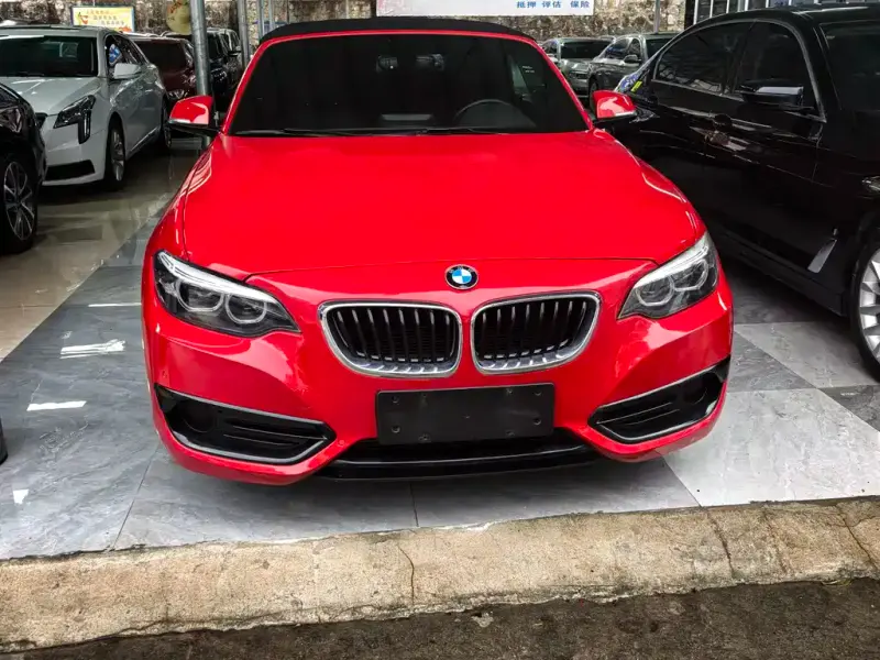 BMW 2 Series (Import), 2018 — фото 1