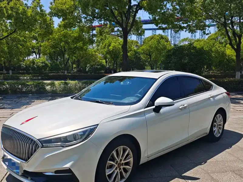 Hongqi H5, 2020
