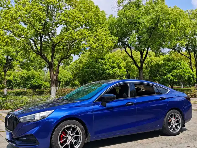 Hongqi H5, 2019