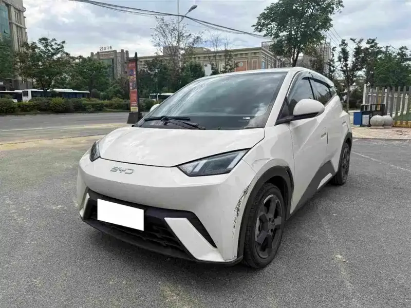 BYD Seagull, 2024