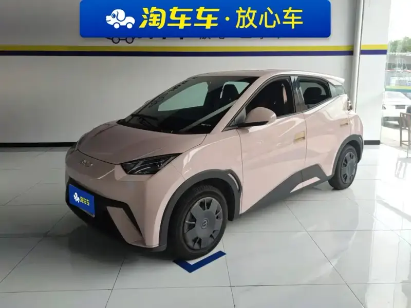 BYD Seagull, 2024