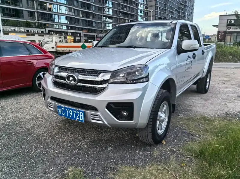Great Wall Fengjun 5, 2021