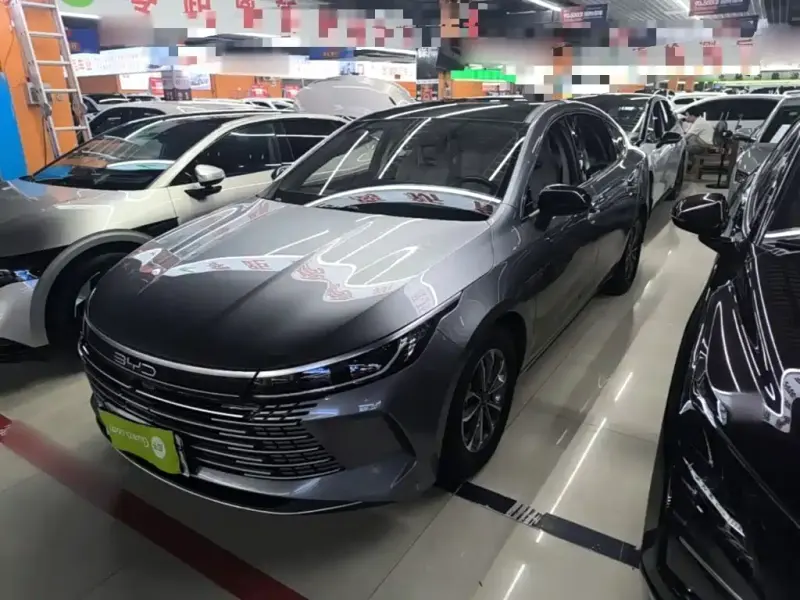BYD Destroyer 05, 2023 — фото 1