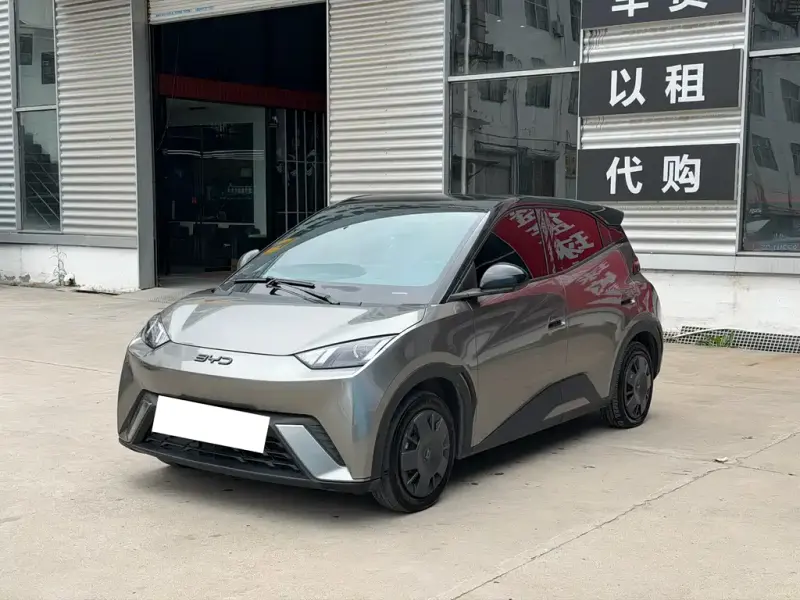 BYD Seagull, 2024