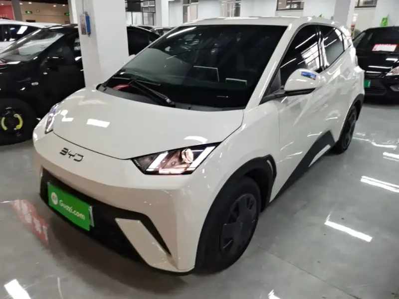 BYD Seagull, 2025