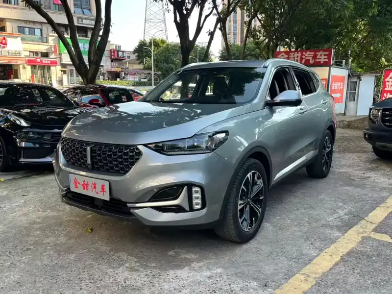 Wey VV6, 2021