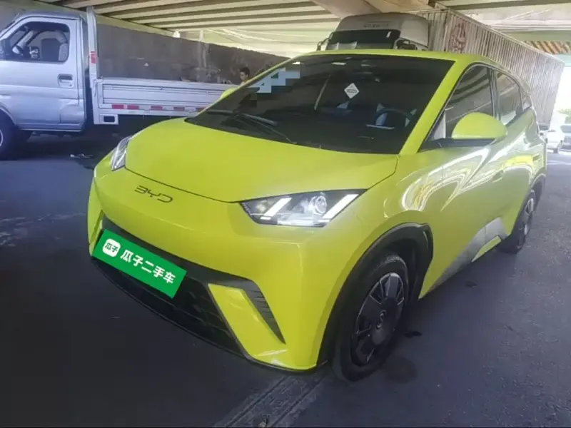 BYD Seagull, 2024