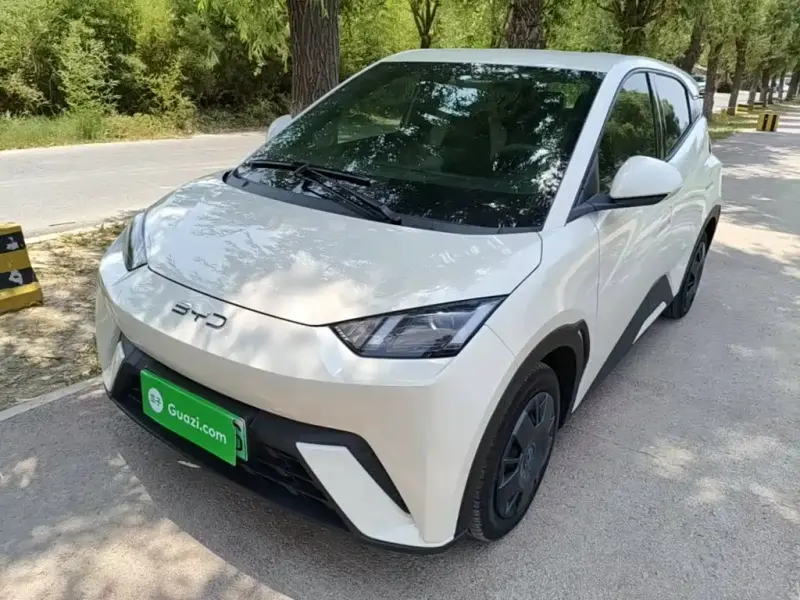 BYD Seagull, 2025