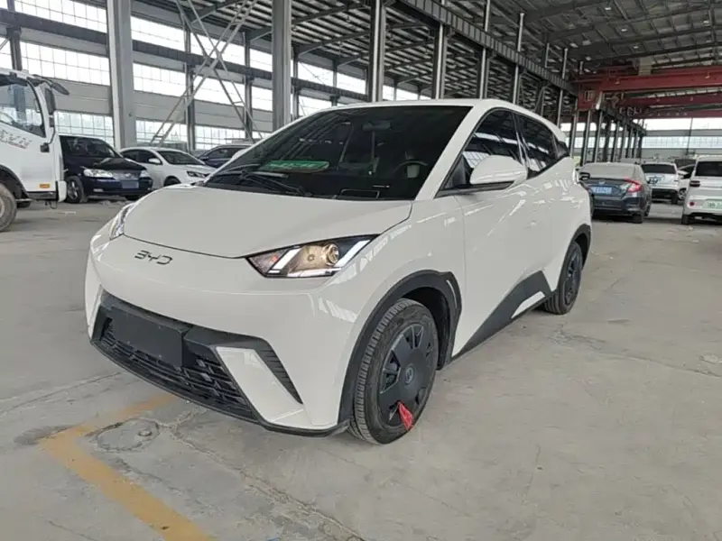 BYD Seagull, 2025