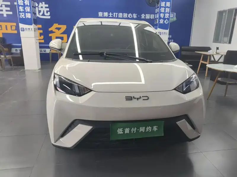 BYD Seagull, 2024