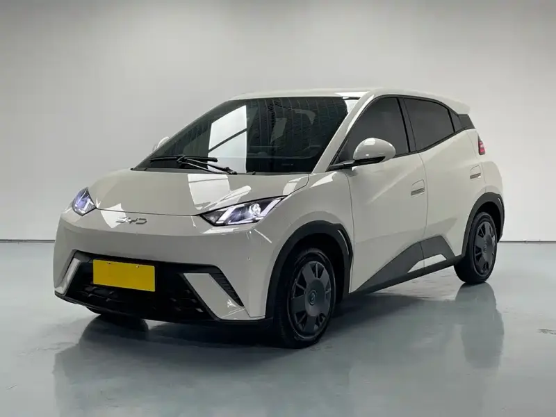 BYD Seagull, 2025