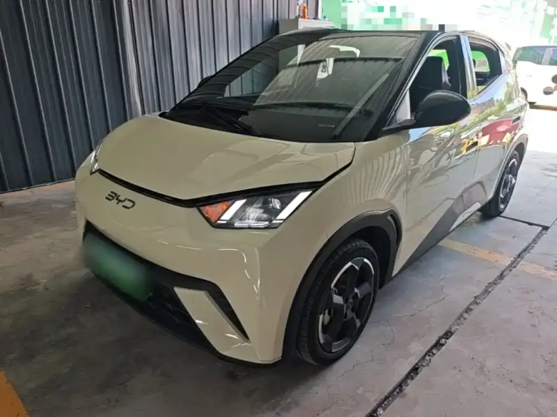BYD Seagull, 2024
