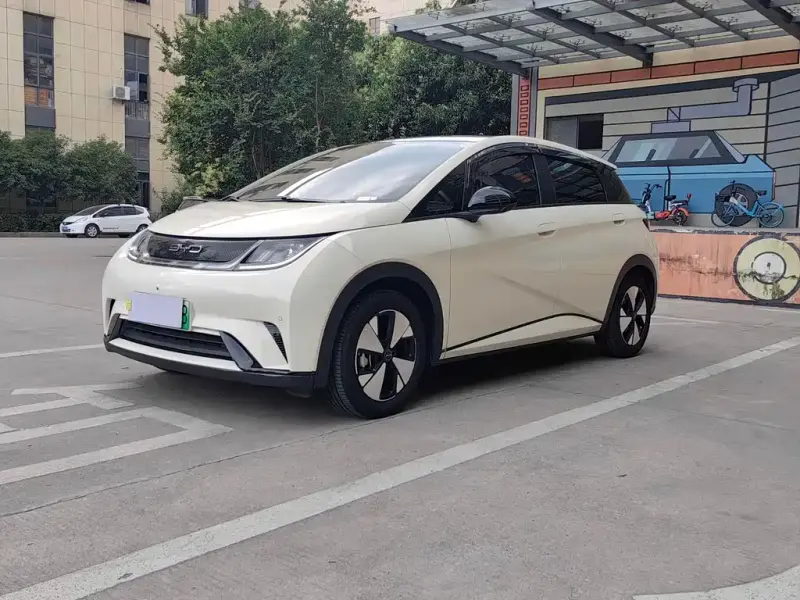 BYD Dolphin, 2024