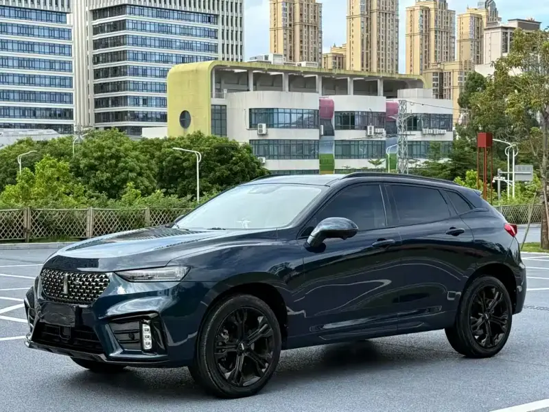 Wey VV7, 2019
