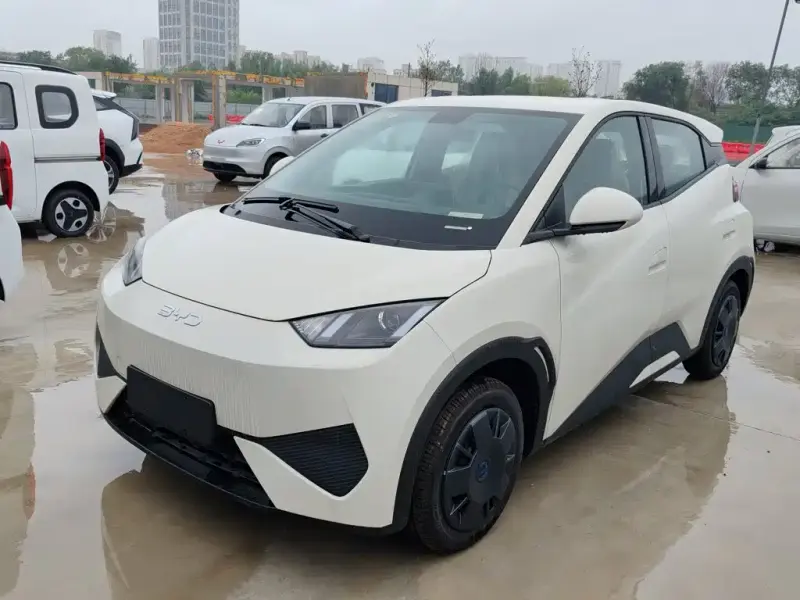 BYD Seagull, 2026