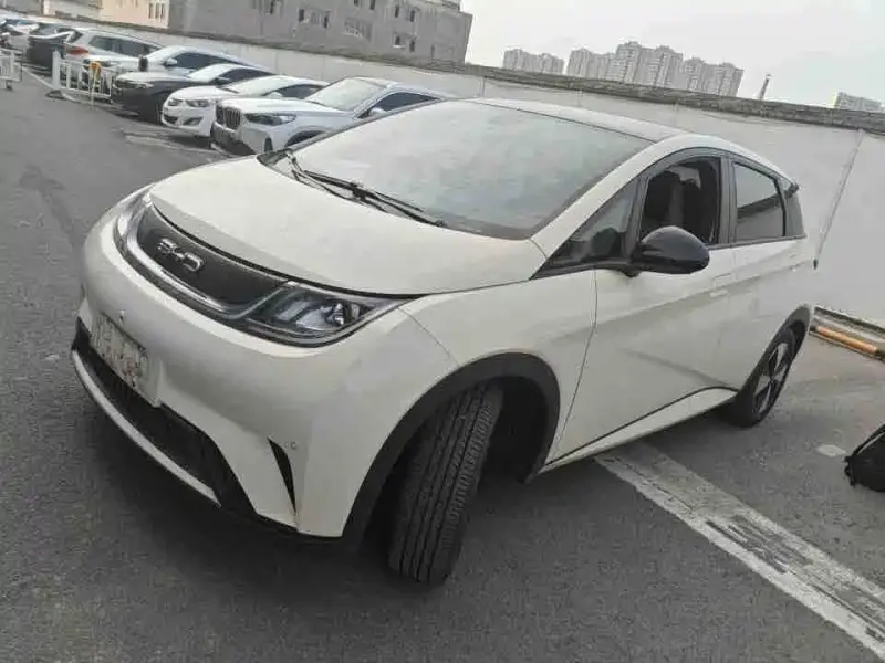 BYD Dolphin, 2023