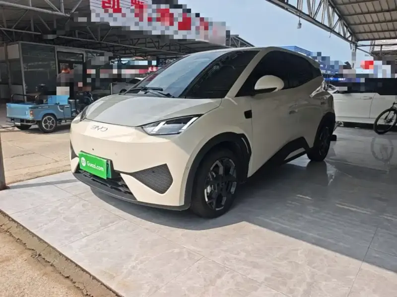 BYD Seagull, 2025