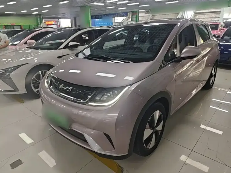BYD Dolphin, 2023