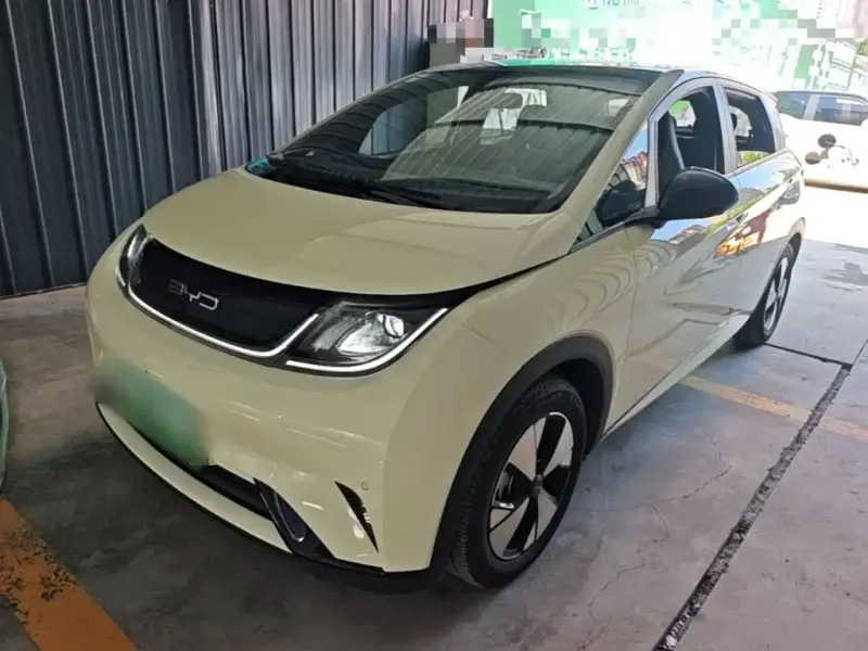 BYD Dolphin, 2024