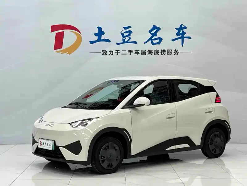 BYD Seagull, 2026