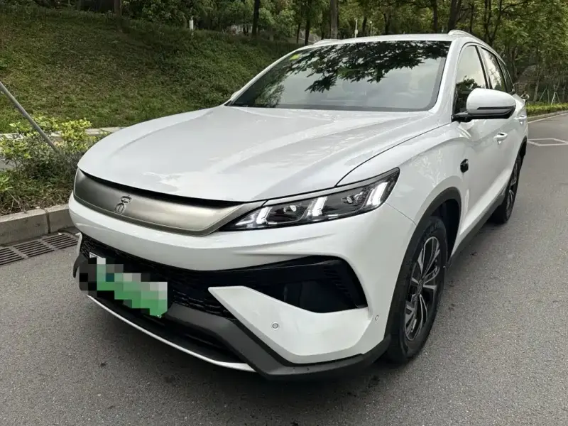 BYD Pro New Energy, 2025 — фото 1