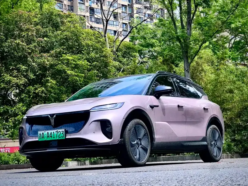 VOYAH Zhiyin, 2024