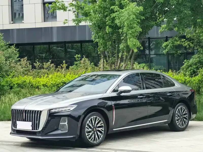 Hongqi H5, 2024