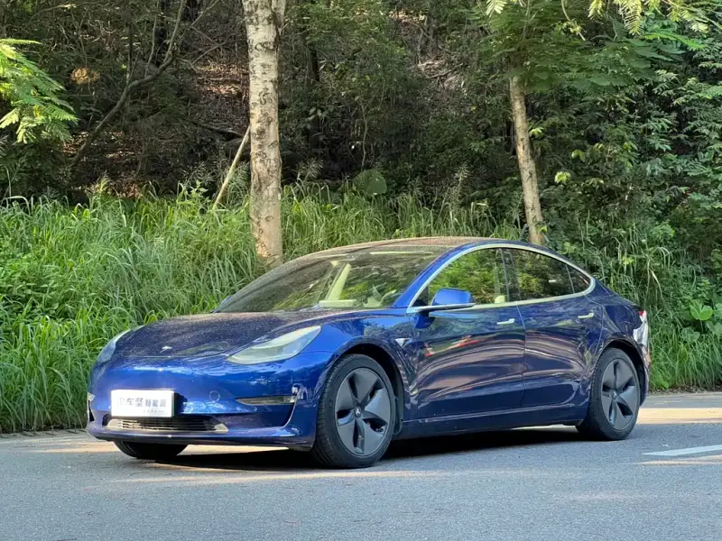 Tesla Model 3, 2019