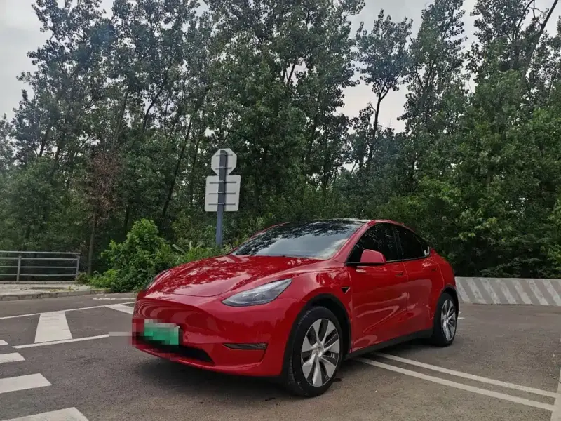 Tesla Model Y, 2021