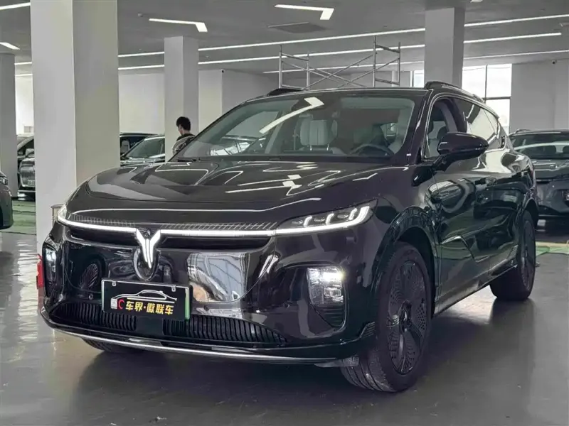 VOYAH Zhiyin, 2025
