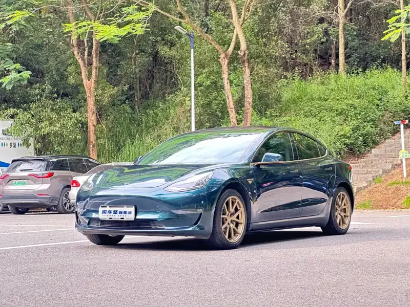 Tesla Model 3, 2019