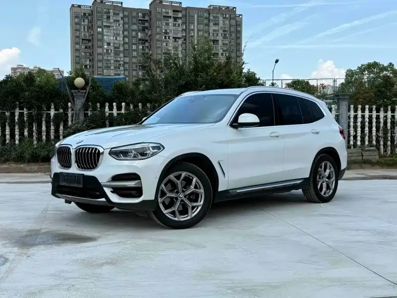 BMW X3, 2019 — фото 1