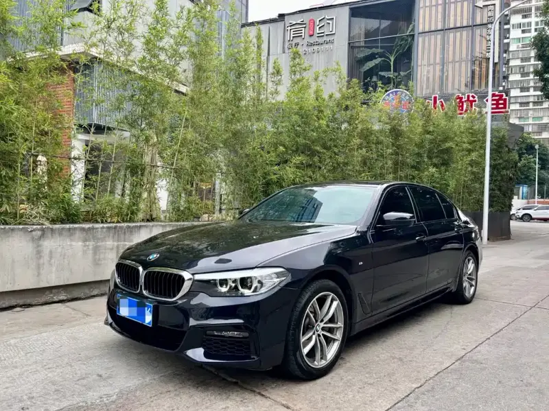 BMW 5 Series, 2019