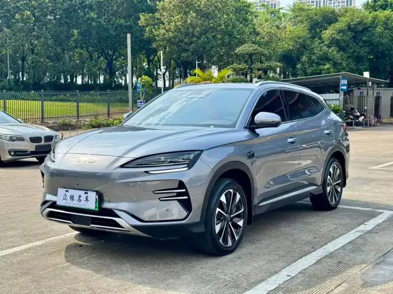 BYD PLUS New Energy, 2025 — фото 1