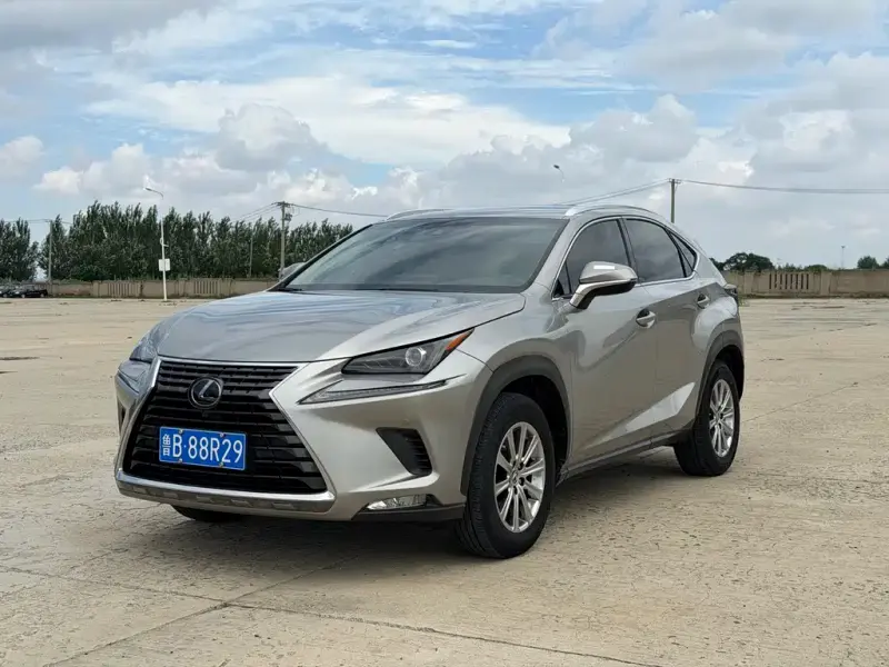 Lexus NX, 2019