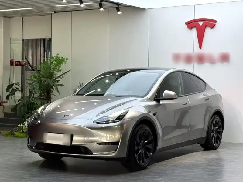 Tesla Model Y, 2024