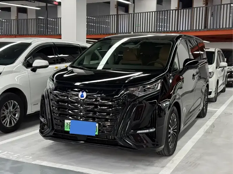 Denza D9, 2024