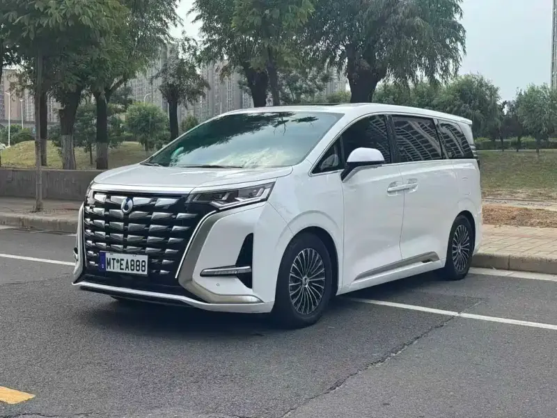 Denza D9, 2024