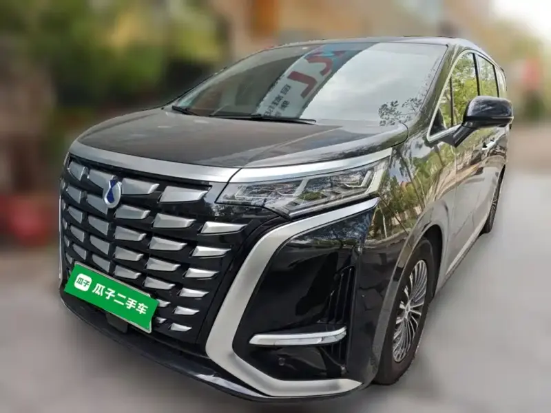 Denza D9, 2024