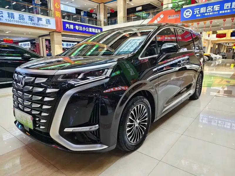 Denza D9, 2026